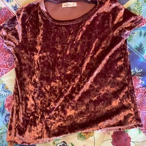 hollister cropped top